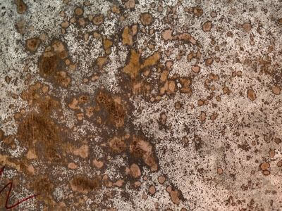 Professional ceiling water damage repair services in Newhall